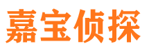 铜官山市侦探公司